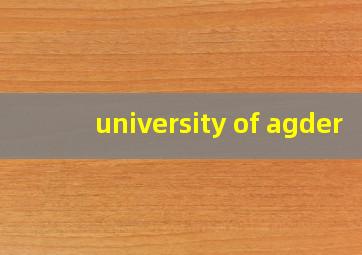 university of agder